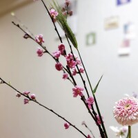 朝からゆったり癒されたい方へ??