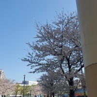 明日春が来たら～?