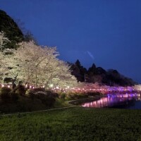 おはようございます??