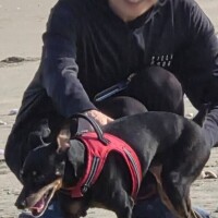 =E3=81=BD=E3=81=8B=E3=81=BD=E3=81=8B=3F?=