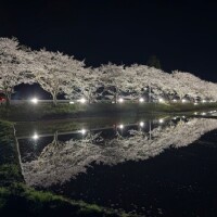 よろしくお願いします??