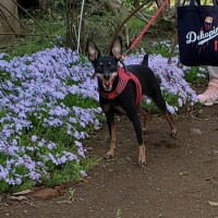 =E3=83=89=E3=82=AD=E3=81=A3=EF=BC=81?==28=EF=BE=9F=D0=94=EF=BE=9F=29!!?=