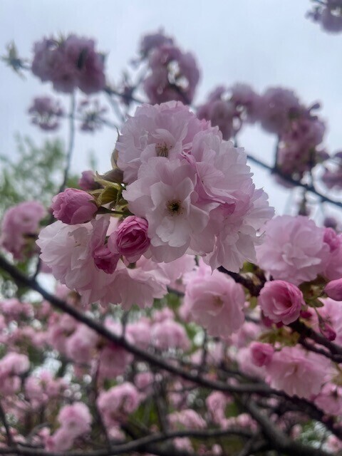 明日は&hellip;?