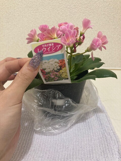 るんるんるんるん