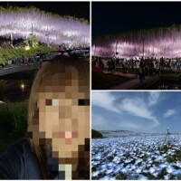 お花?ばっかりで?