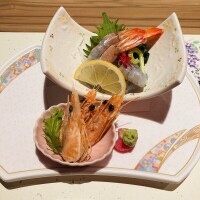 おやしらず&hellip;その後