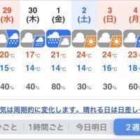 金曜日から空きございます