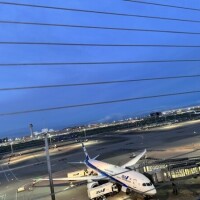 お礼と次回予告?