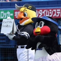 野球の話??