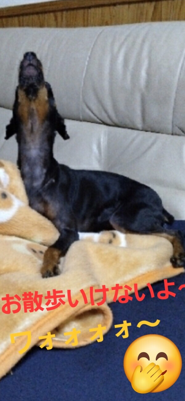 なんと！！！！