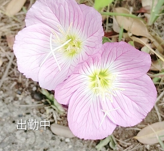 待ってます??
