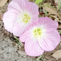 待ってます??