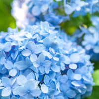 NoTitle