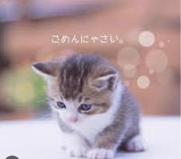 おやすみです?