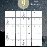 まいこ