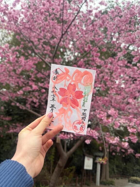 櫻木神社??