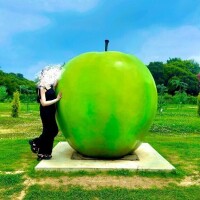 みやび