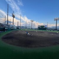 わかな