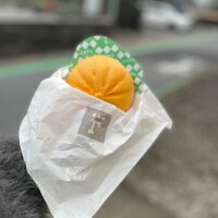 せりな