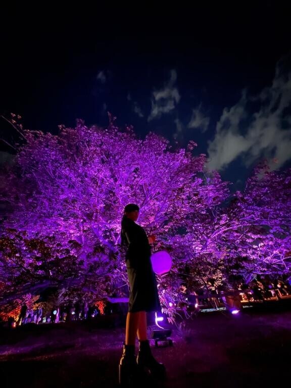 明日から3日間?*･?