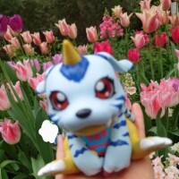 きなこ