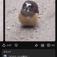 警察に職質中の