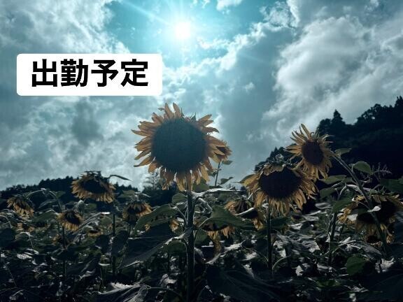 ラスト出勤までの出勤予定?