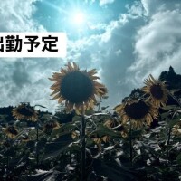 ラスト出勤までの出勤予定?