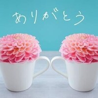 あっという間でした！