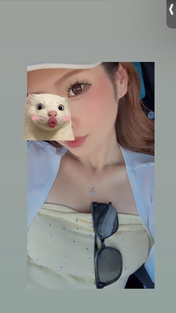 しゅっきーん