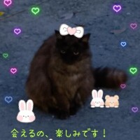 急遽出勤！??