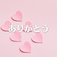 センチュリー304の方へ