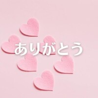 センチュリー504本指名の方へ