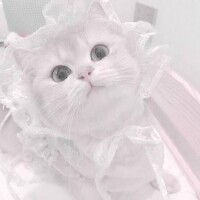 ありがとうございました???♀??????