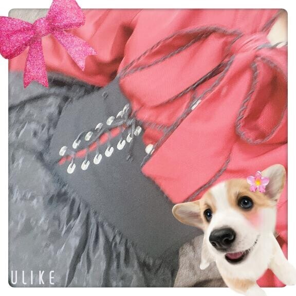 いるよー!