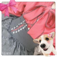 いるよー!