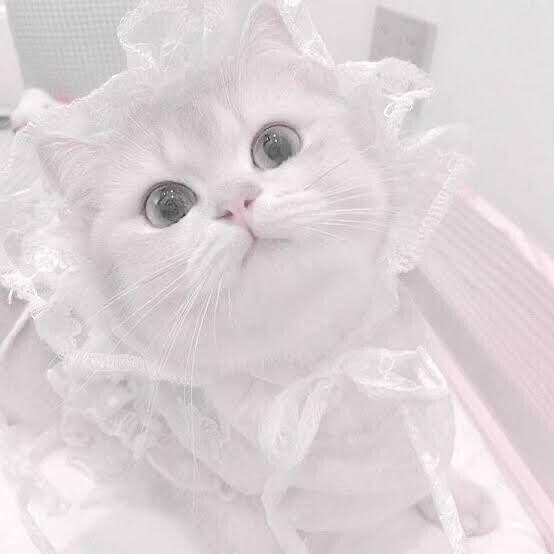 ありがとうございました???♀??????