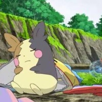 おはようございます??