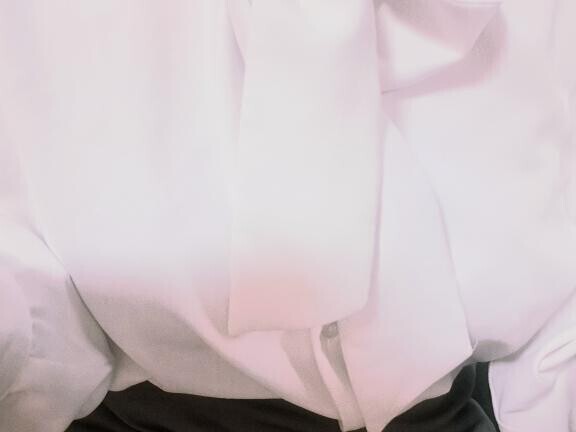 お礼日記 アネックス100分のお客様