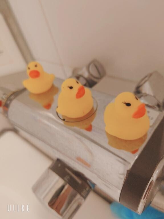 ウキウキ309のお兄さん?