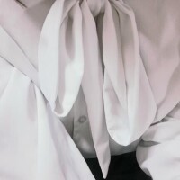 お礼日記 センチュリー406のお客様