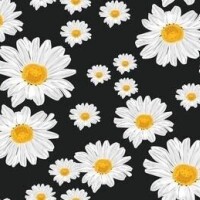 年末のごあいさつ