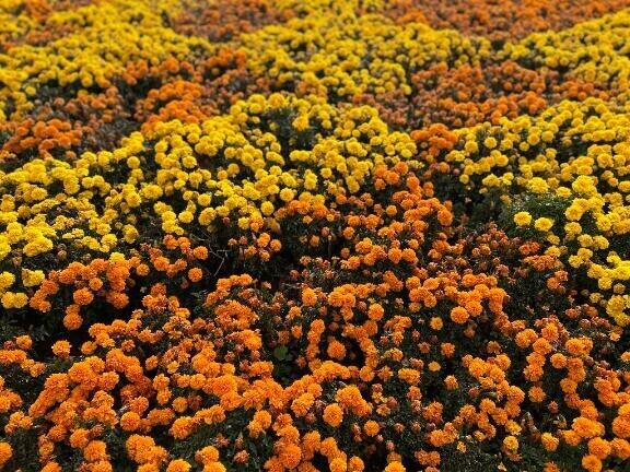 あけましておめでとう?