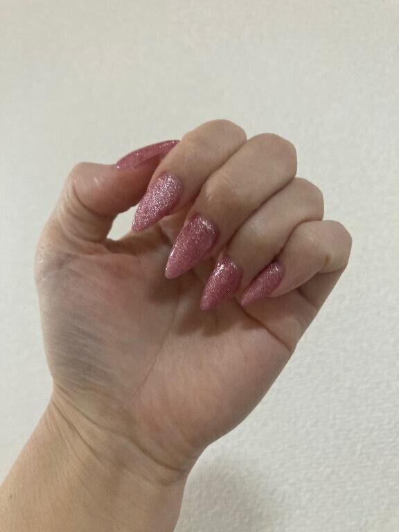 ?もどせたーん?