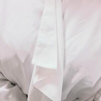 お礼日記 センチュリー404のお客様