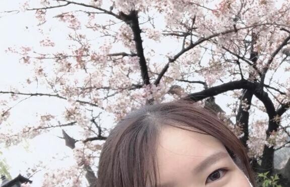 ?わたしの好きなもの?