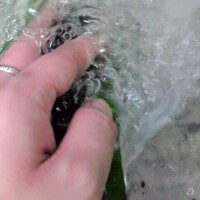 死んでしまったと思われる木をいただいてまいりました(?θ???θ?)