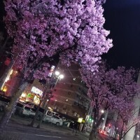 お礼！