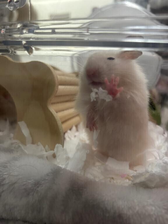 待機に入りました?