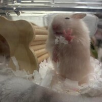 待機に入りました?